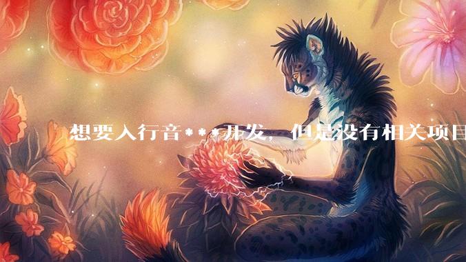 想要入行音***开发，但是没有相关项目经验怎么办？