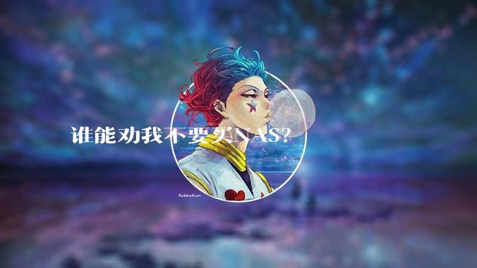 谁能劝我不要买NAS？