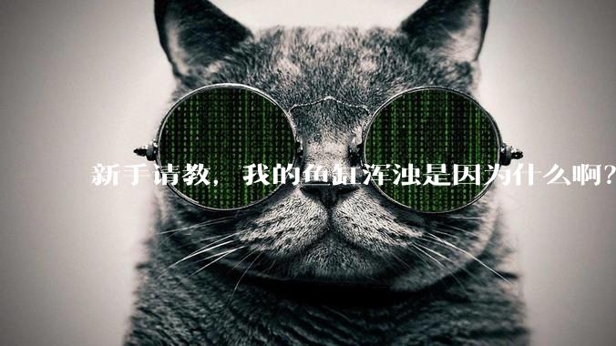 新手请教，我的鱼缸浑浊是因为什么啊？