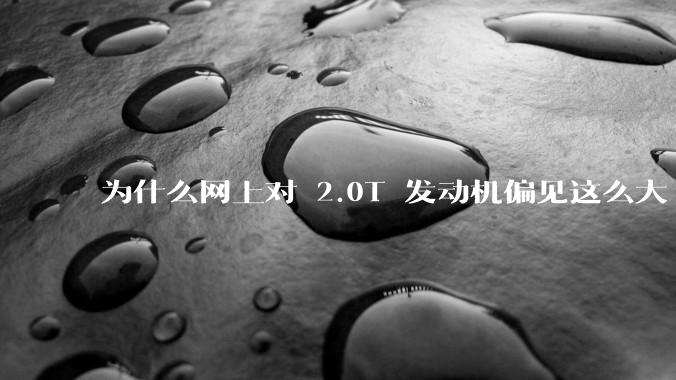 为什么网上对 2.0T 发动机偏见这么大?